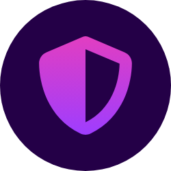 shield icon